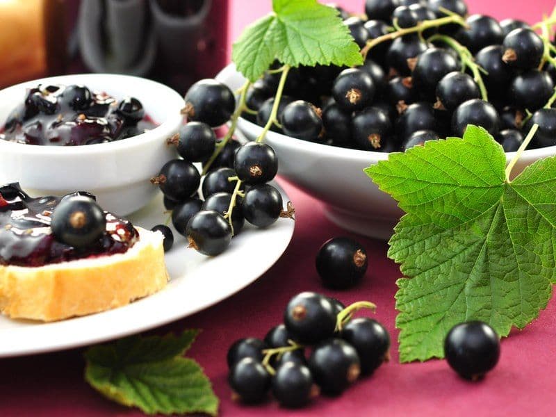 Le Champ des possibles